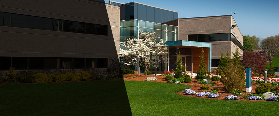 Campbellsville Landscapers