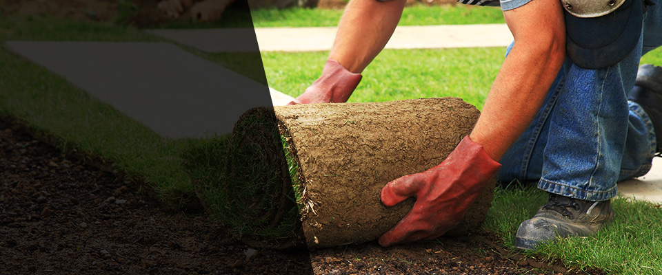 Campbellsville Landscapers